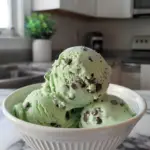 Mint Chocolate Chip Ice Cream